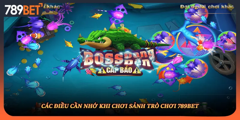 Các điều cần nhớ khi chơi sảnh trò chơi 789BET