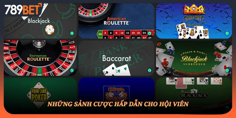 Những sảnh cược hấp dẫn cho hội viên
