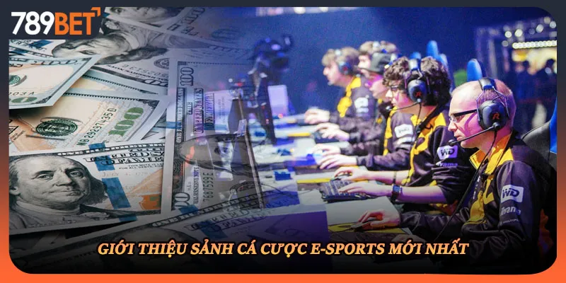 Giới thiệu sảnh cá cược e-sports mới nhất