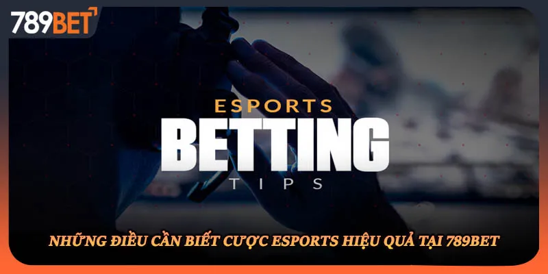 Những điều cần biết cược Esports hiệu quả tại 789BET